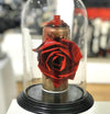 Spray Can Rose - Red